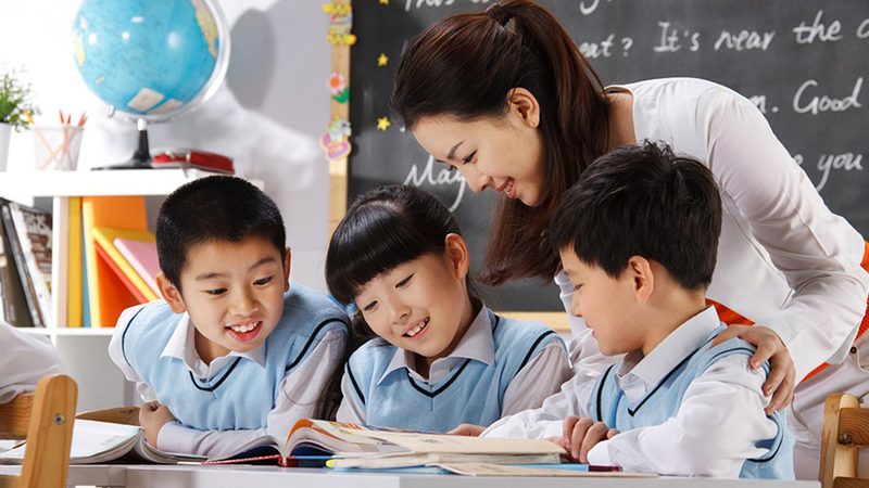 技能培训与学历教育：认可度背后的秘密