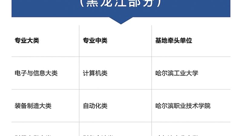 二建与一建培训：实用性的深度解析